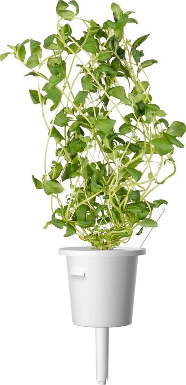 Click And Grow Click&Grow Smart Soil σπόροι, μείγμα ιταλικών βοτάνων, συσκευασία 9 9472263 4742793009209