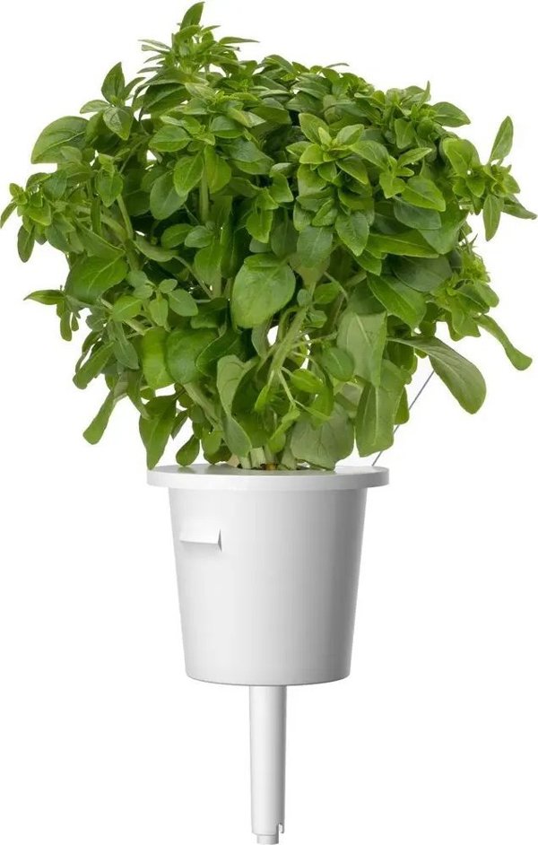 Click And Grow Click&Grow Smart Soil σπόροι, μείγμα ιταλικών βοτάνων, συσκευασία 9 9472263 4742793009209