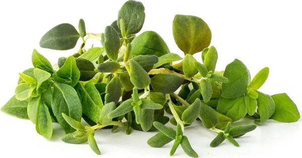 Click And Grow Click&Grow Smart Soil σπόροι, μείγμα ιταλικών βοτάνων, συσκευασία 9 9472263 4742793009209