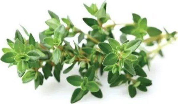 Click And Grow Click&Grow Smart Soil σπόροι, μείγμα ιταλικών βοτάνων, συσκευασία 9 9472263 4742793009209