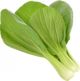 Click And Grow Click and Grow ανταλλακτικό κινέζικο λάχανο 3-πακ