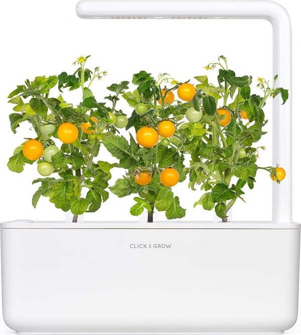 Click And Grow Κάντε κλικ και μεγεθύνετε ξαναγεμίστε κίτρινη ντομάτα 3-συσκευασία 6484466 4742793009124