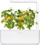Click And Grow Κάντε κλικ και μεγεθύνετε ξαναγεμίστε κίτρινη ντομάτα 3-συσκευασία 6484466 4742793009124