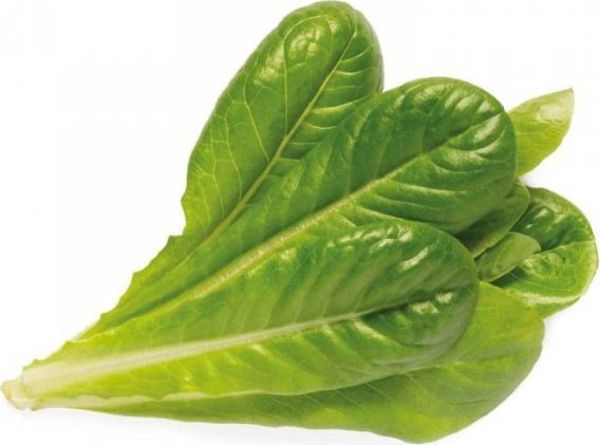 Click And Grow Click and Grow επαναγέμισμα μαρούλι ρομάνα 3-πακ