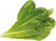 Click And Grow Click and Grow επαναγέμισμα μαρούλι ρομάνα 3-πακ