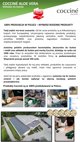 Ανατομικοί Πάτοι Coccine Sport Line Comfort, Για Αθλητικά Παπούτσια, Νο 45-46