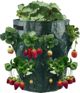 CreativeHome TORBA DO SADZENIA I UPRAWY TRUSKAWEK 17cm