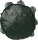 CreativeHome TORBA DO SADZENIA I UPRAWY TRUSKAWEK 17cm