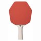 Cybershape ITTF 1-STAR TABLE TENNIS BAT