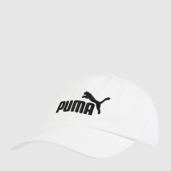 Czapka z daszkiem Puma ESS NO.1 Logo 025999-02