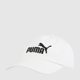 Czapka z daszkiem Puma ESS NO.1 Logo 025999-02