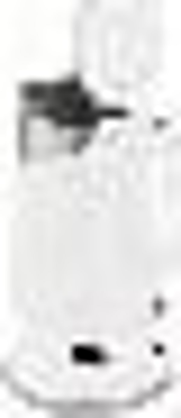 Lafe Ηλεκτρικός Βραστήρας Elegant White, 360° Περιστρεφόμενη Βάση