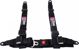D1Spec_D Pasy sportowe 4p 2" D1Spec Black