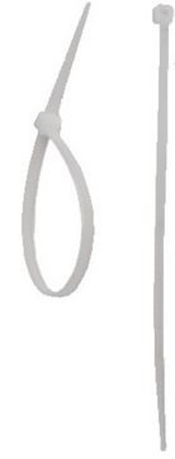 Dedra Opaski zaciskowe nylonowe 4,8x200mm bialy 100szt