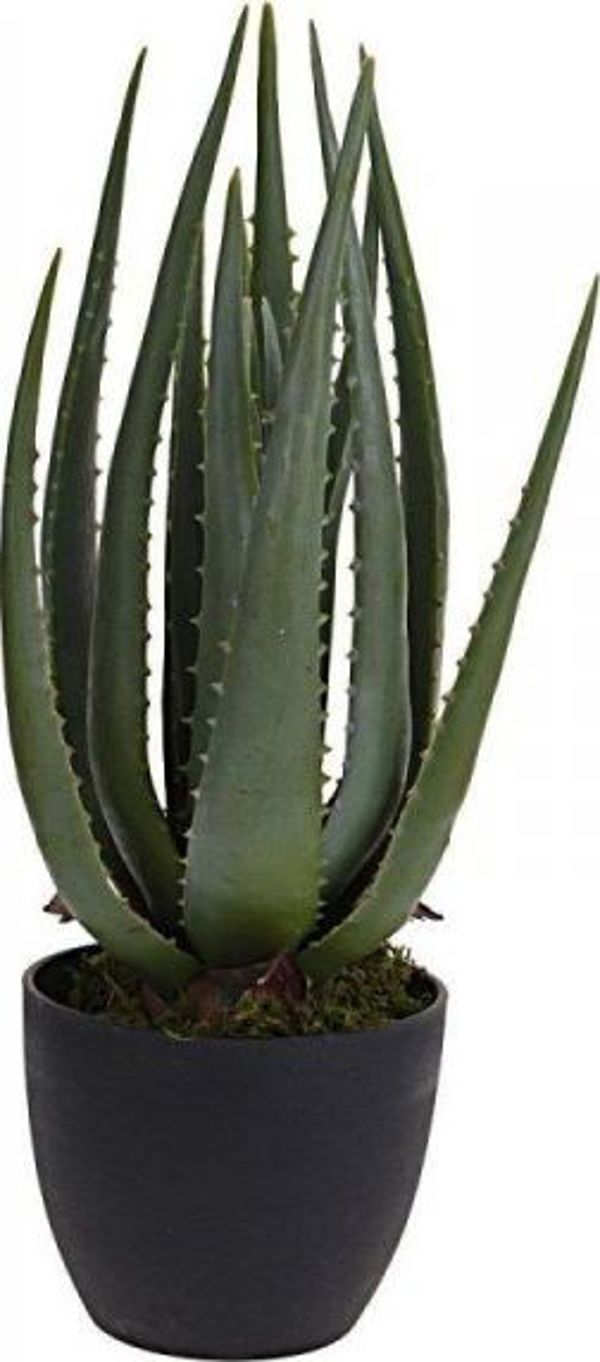 Dekoracja domu Sztuczny Aloes w donicy 45 cm