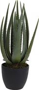 Dekoracja domu Sztuczny Aloes w donicy 45 cm