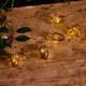 Sirius Celina Γιρλάντα με Acorn, 8 LED, Σκούρο Δρυς/Χρυσό, 180cm