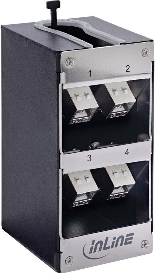 Delock Verteilerkasten 4-Port Cat.6A, Επιτοίχιο Κουτί Δικτύωσης & Ράγας με Keystone Modules