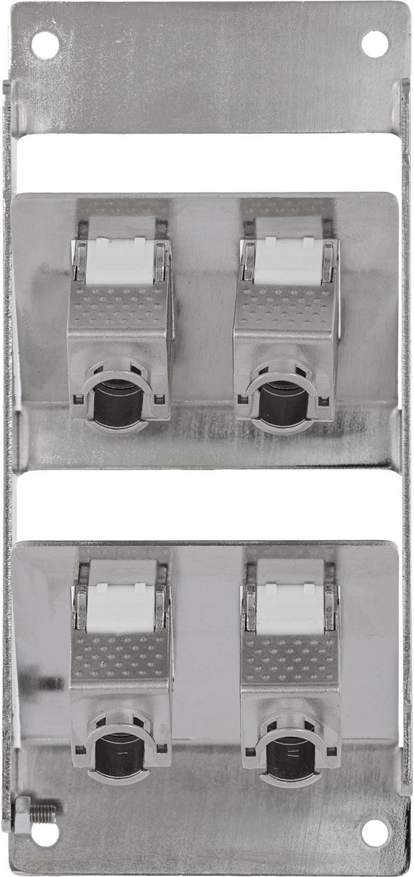 Delock Verteilerkasten 4-Port Cat.6A, Επιτοίχιο Κουτί Δικτύωσης & Ράγας με Keystone Modules