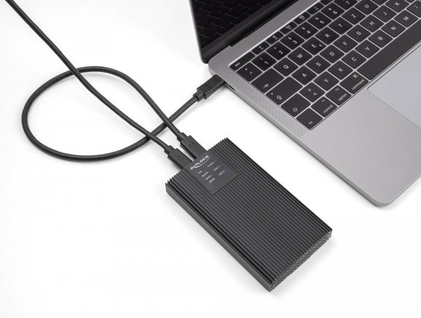 Delock Externes Gehäuse USB 20 Gbps für 2 x M.2 NVMe PCIe SSD mit USB Type-C™ Buchse und RAID - werkzeugfrei