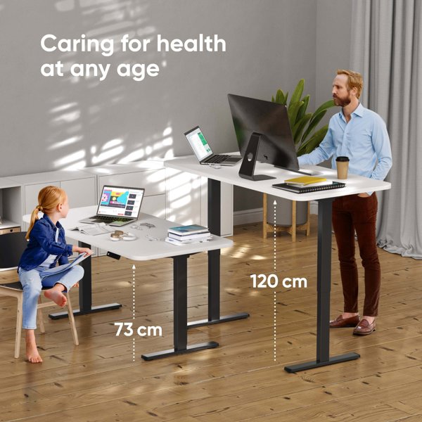 DESK FRAME MOTORISED/BLACK CDF222E-B ONKRON