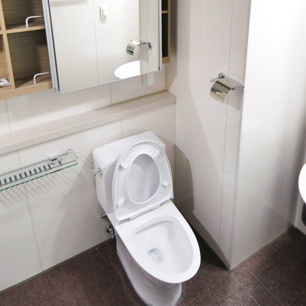 Καπάκι τουαλέτας Retoo σκληρό, καπάκι WC με αργό κλείσιμο