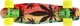 Nils Extreme PENNYBOARD ART REGGAE SIGNA skateboard