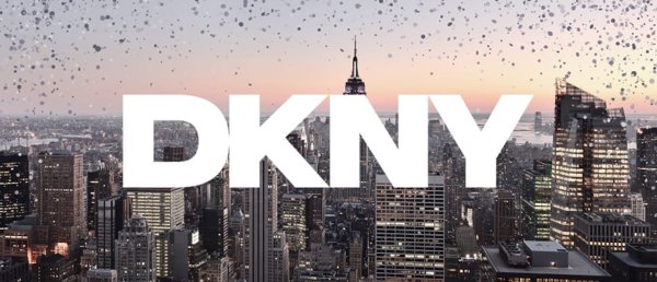 Θήκη DKNY για iPhone 16 Pro Max 6.9" Liquid Glitter Arch Logo - Μαύρη Σκληρή