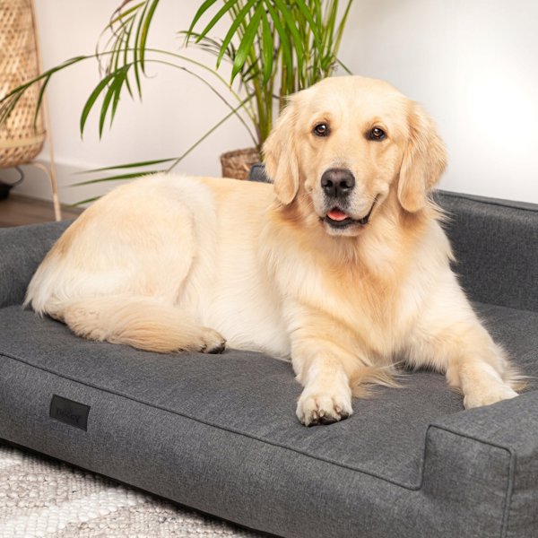 Κρεβάτι Σκύλου Doggy XL Glamour 98cm, Γκρι Γραφίτη
