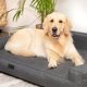 Κρεβάτι Σκύλου Doggy XL Glamour 98cm, Γκρι Γραφίτη