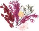 DP Craft Suszone Kwiaty Dekoracyjne Bordo Roz