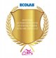 Ecolab Incidin Liquid Spray  Preparat do dezynfekcji  1 L