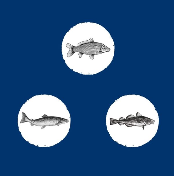 EDEN  Eden Fish Cuisine medium and large breeds 2kg