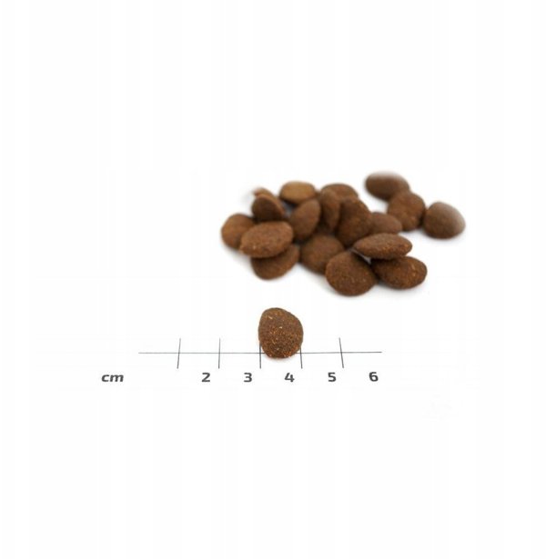 EDEN  Eden Fish Cuisine medium and large breeds 2kg