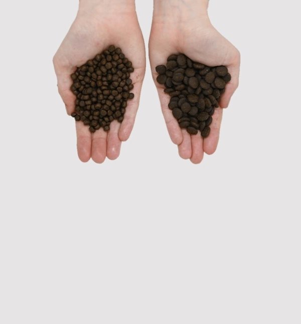 EDEN  Eden Fish Cuisine medium and large breeds 2kg