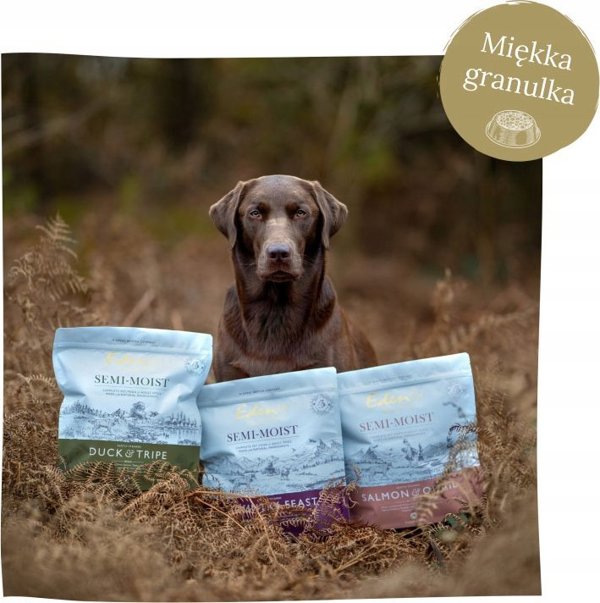 EDEN Eden Polwilgotna Losos i Prepiorka 2 kg