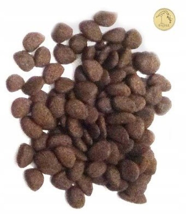 Eden Fish Cuisine για μεσαίες και μεγάλες φυλές 12kg