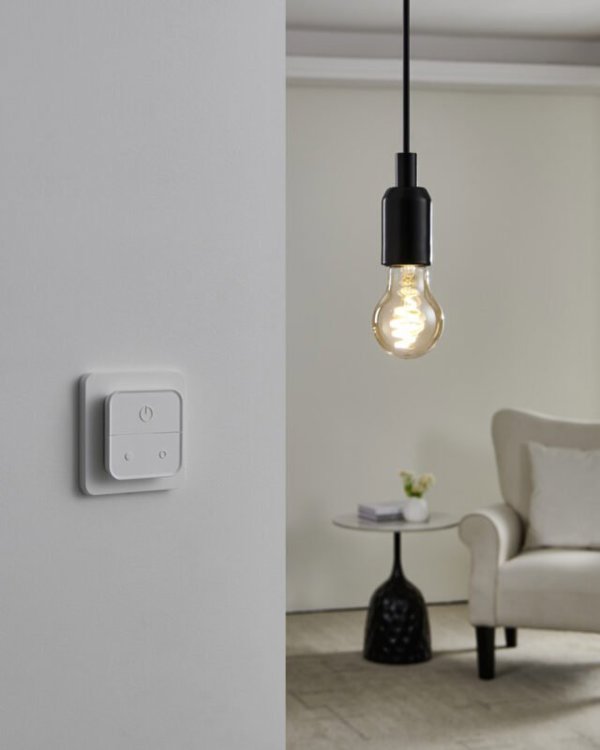 EGLO CONNECT-Z E27 Filament Smart Bulbs - 2-pack with Switch