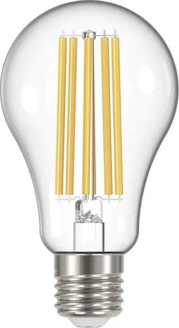 Emos Zarowka LED filament A67 17W E27 230V 2700K 2452lm
