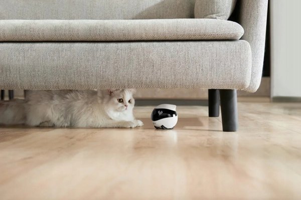 Enabot EBO Air2 Blue