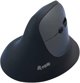 Equip 245120 myszka Uniwersalne Po prawej stronie RF Wireless + Bluetooth Optyczny 1600 DPI