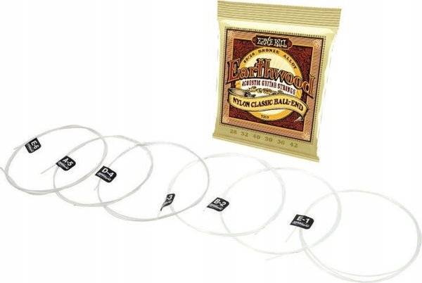 Ernie Ball 2069 Earthwood Phosphor Bronze Light - Χορδές για Ακουστική Κιθάρα 11-52