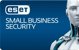 ESET ESET Small Business Security - 10 User, 2 Years - ESD-DownloadESD