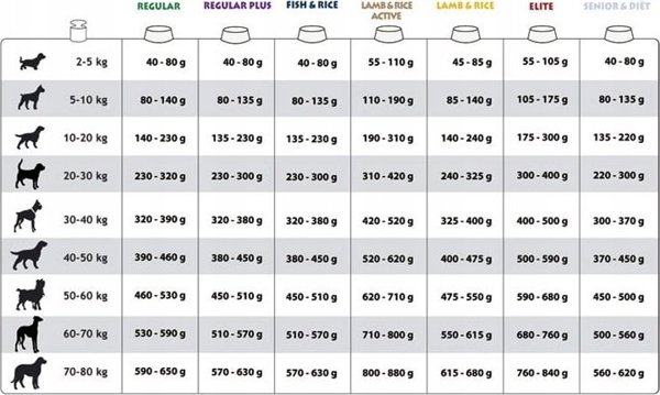 Eukanuba Τροφή για Ενήλικες Σκύλους REGULAR με Αρνί 12kg
