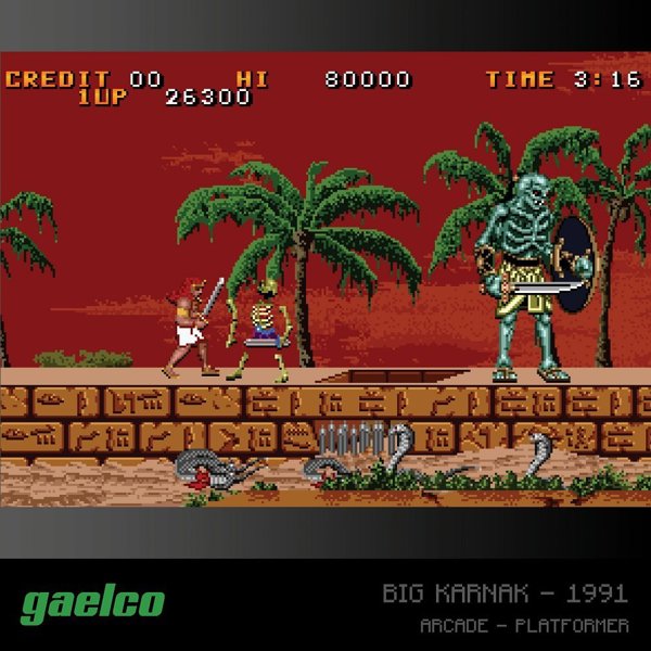 Evercade A6 - Πακέτο Παιχνιδιών Gaelco Arcade 2 (Piko Interactive)