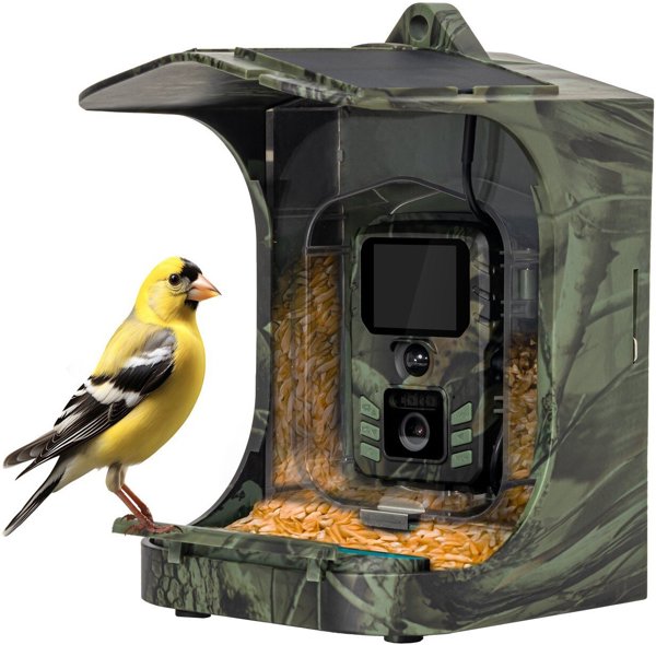 EVOLVEO StrongVision BirdFeeder, Chytré krmítko pro ptáky s kamerou a solárním panelem