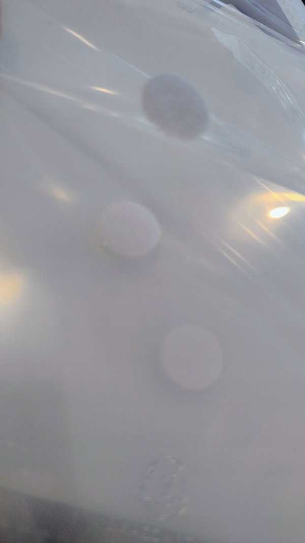 Exacompta Exacompta 57381E, 210 x 297 mm (A4), Πολυπροπυλένιο (PP)