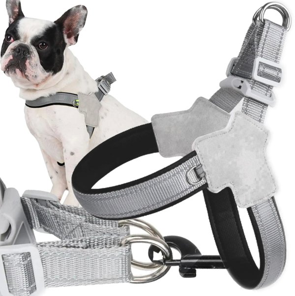 Extralink Pets | Ισχυρά περιλαίμια χωρίς πίεση | λουρί για μικρό σκύλο γάτα ανθεκτικό μέγεθος L pet-834