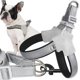 Extralink Pets | Ισχυρά περιλαίμια χωρίς πίεση | λουρί για μικρό σκύλο γάτα ανθεκτικό μέγεθος L pet-834