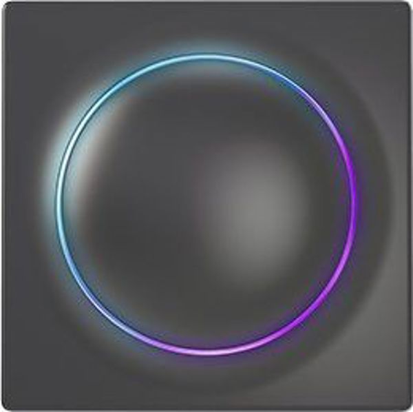 Fibaro FIBARO sterownik rolet Walli Roller Shutter antracyt